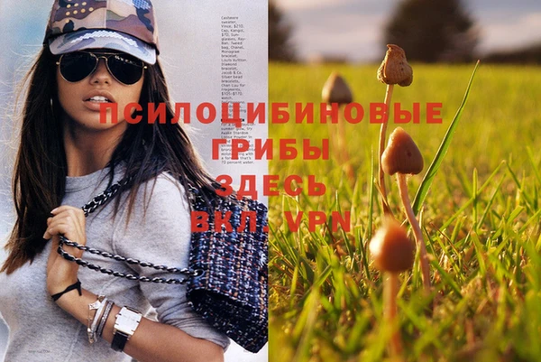 гашишное масло Белокуриха